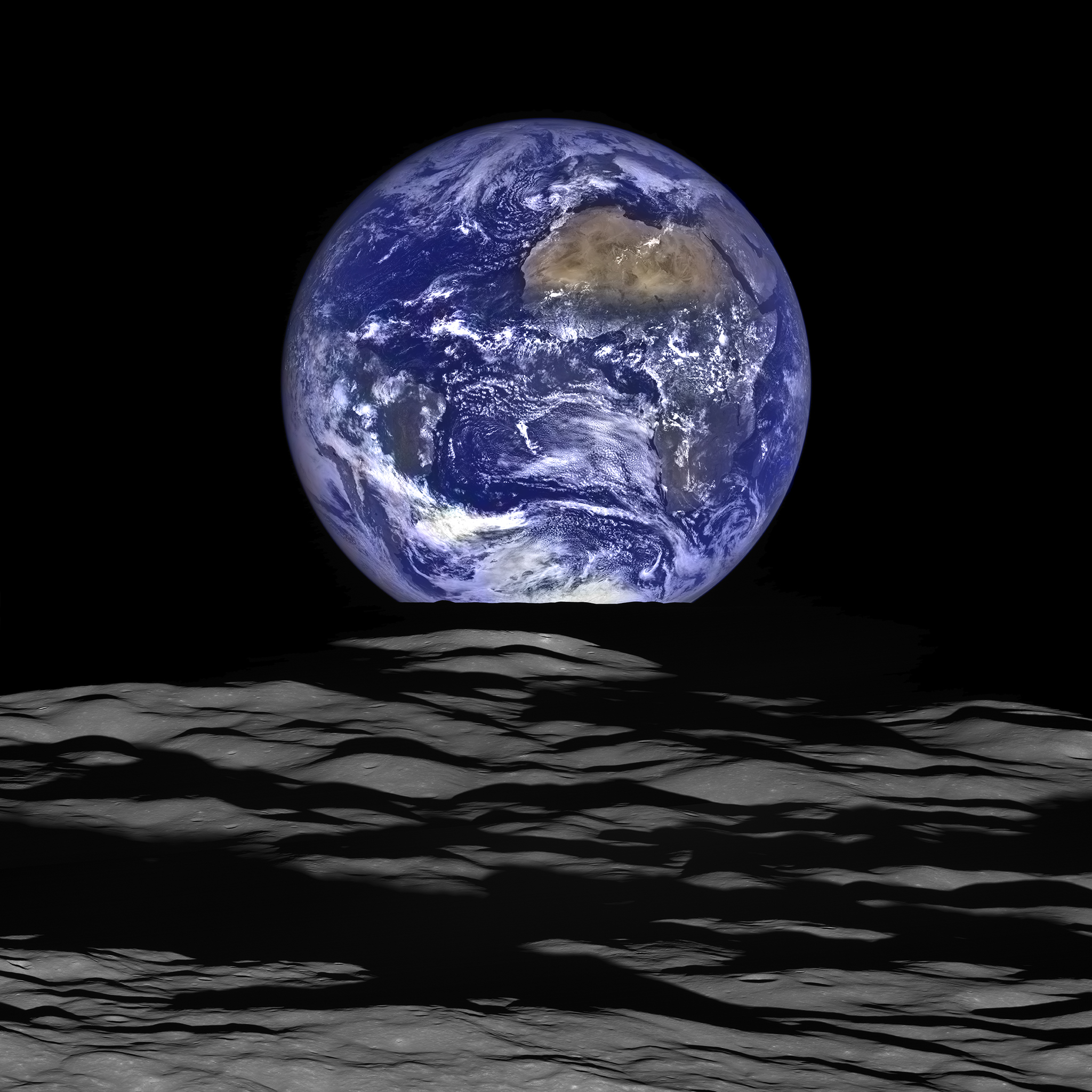 Transcript: Dr. Garry Nolan on TC: It’s Clearly Been Here For A Long Time And It Doesn’t Necessarily Care So Much About Us. Whose Planet Is This, Really?